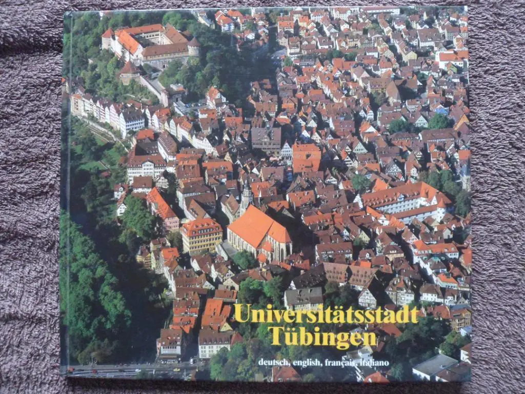 книга Тюбинген (достопримечательности Германии)