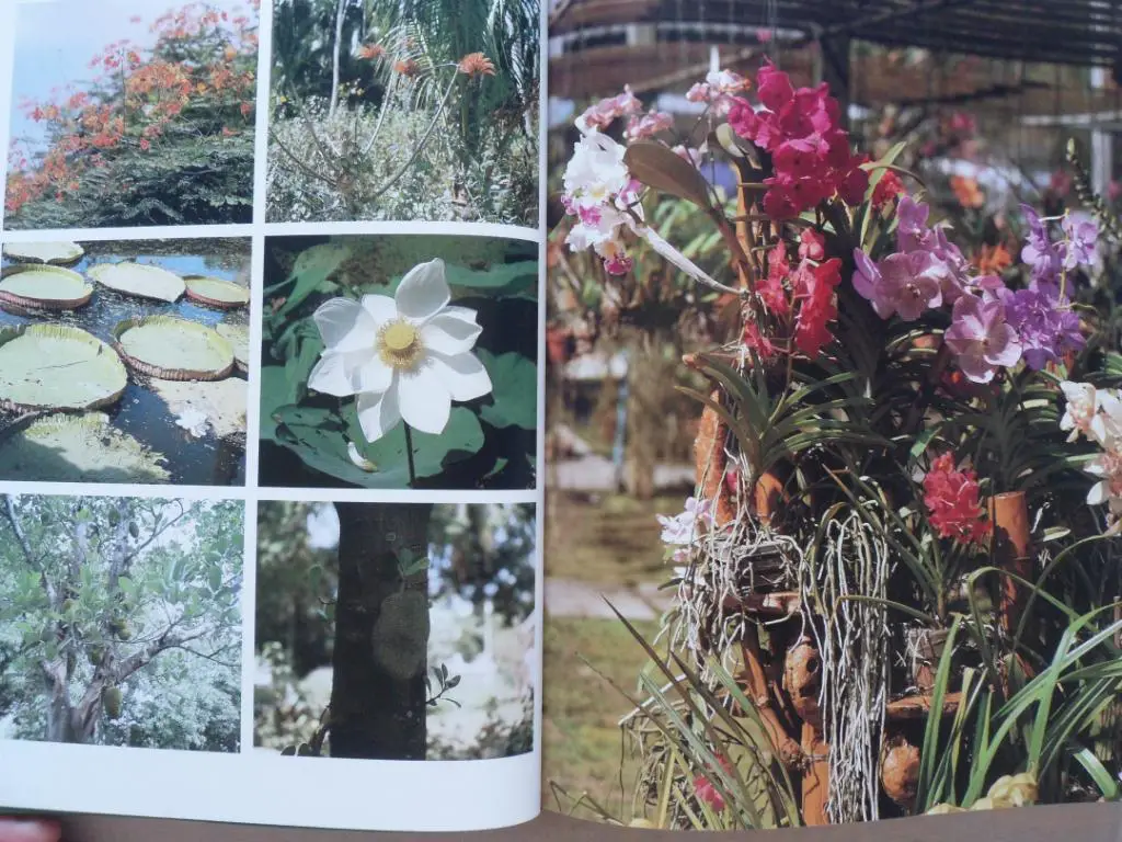 фотоальбом достопримечательности Таиланда 7