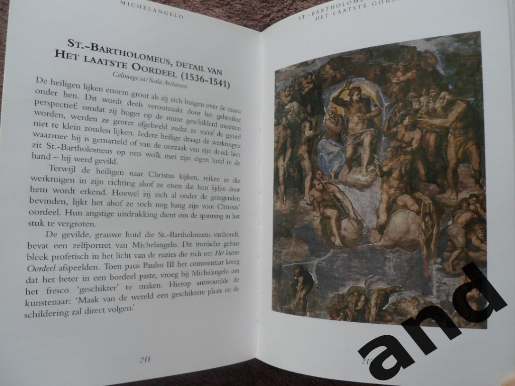 книга Микеланджело 2