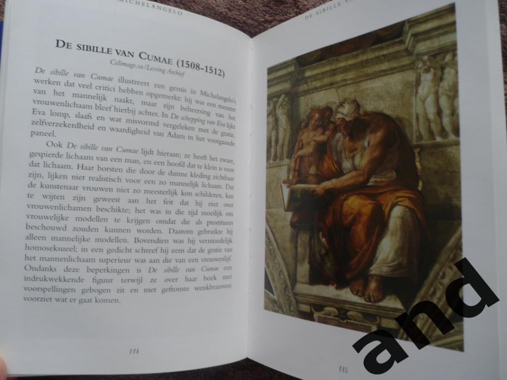 книга Микеланджело 6