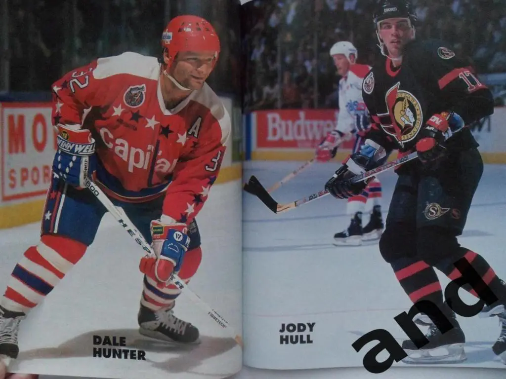 журнал Hockey Stars 1993-94 (постеры) 3