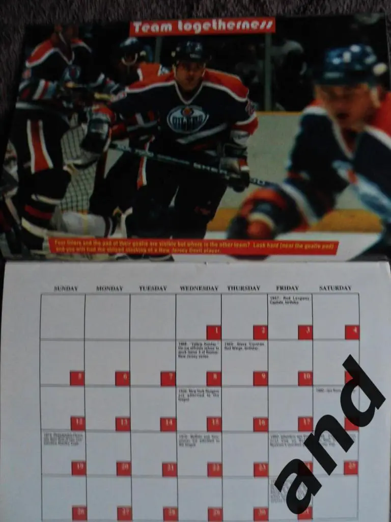 Календарь хоккей Hockey Stars (США) 1991 5