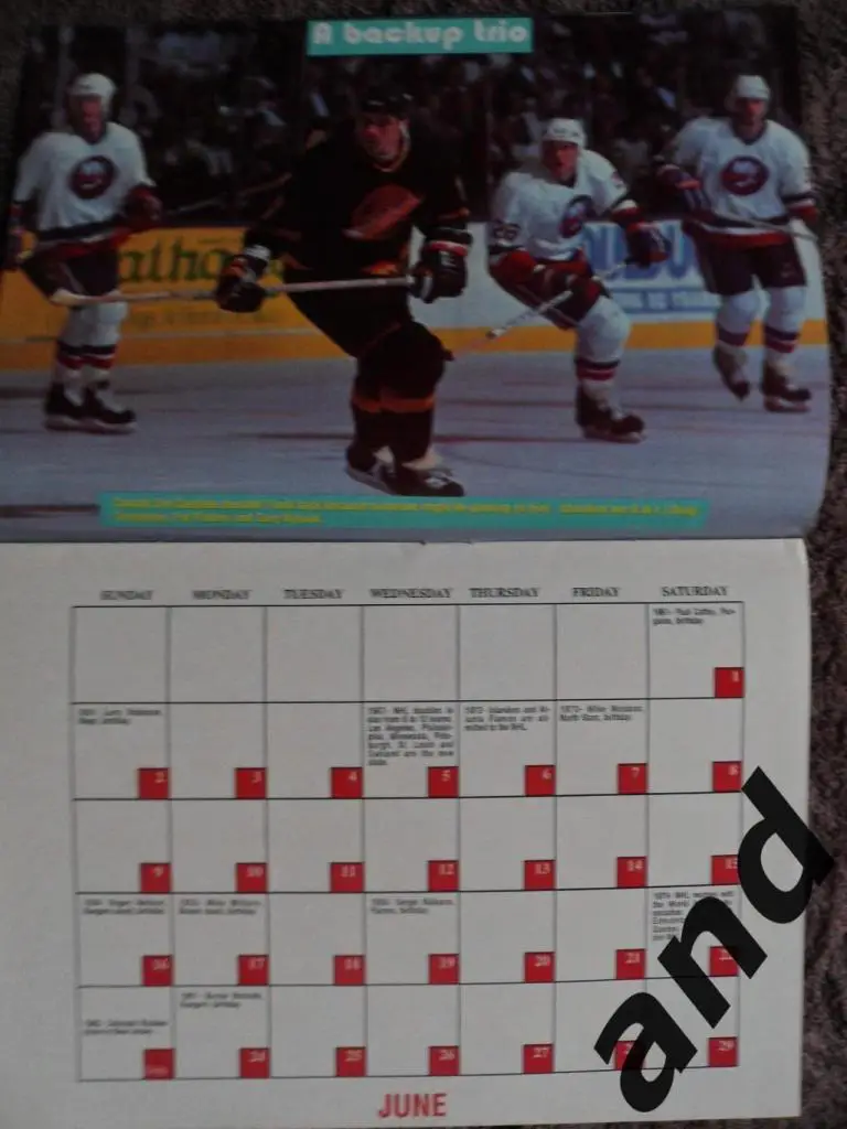 Календарь хоккей Hockey Stars (США) 1991 6