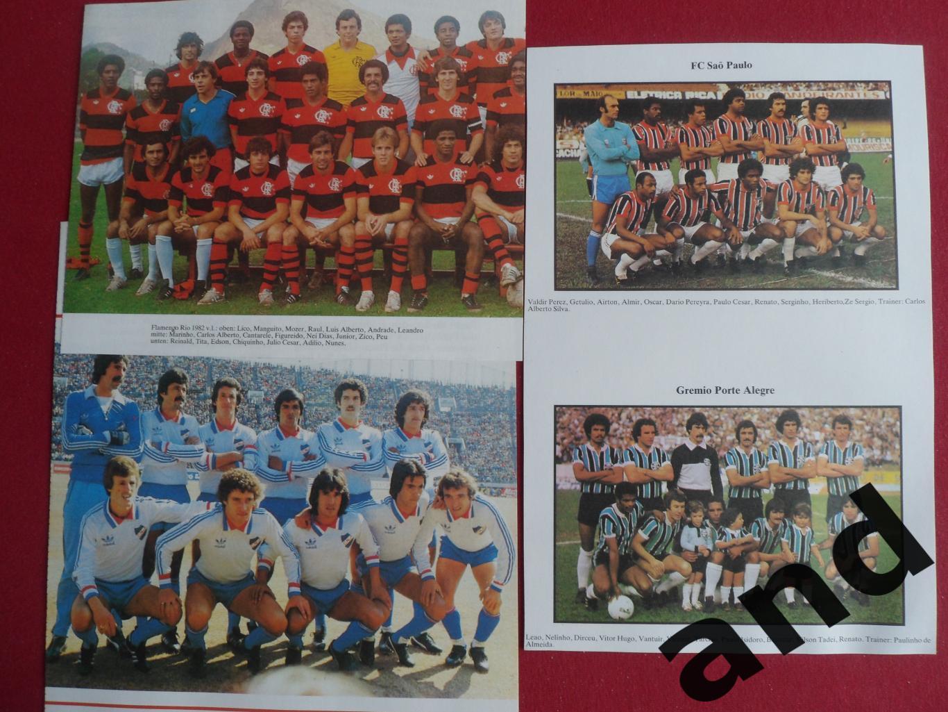 набор командных фото: победители Кубка Либертадорес 2