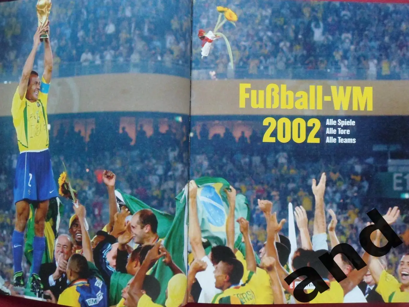 фотоальбом. Чемпионат мира по футболу 2002 (с фото всех команд) 6