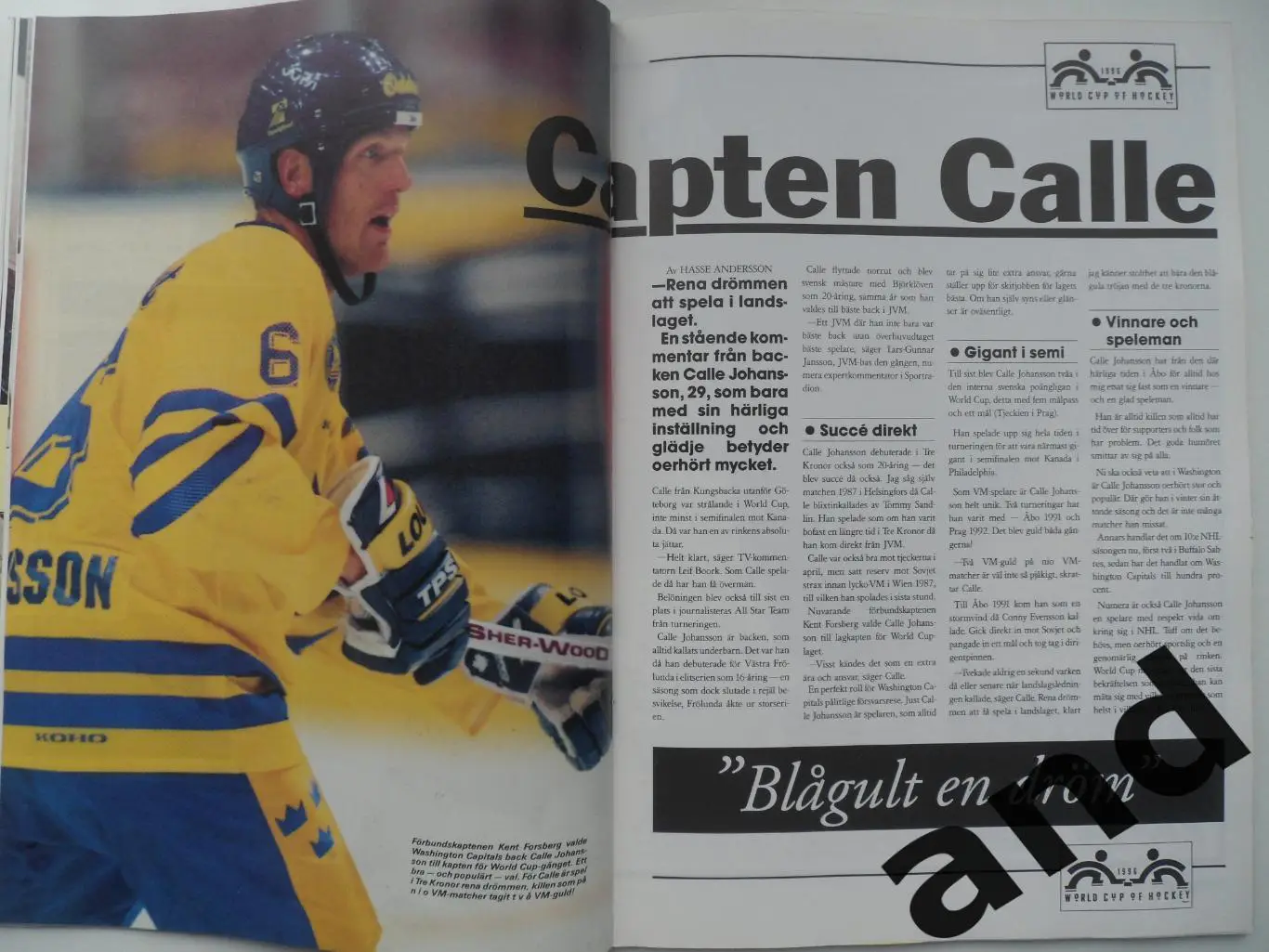 журнал Хоккей (Швеция) № 9 (1996) постеры игроков 6