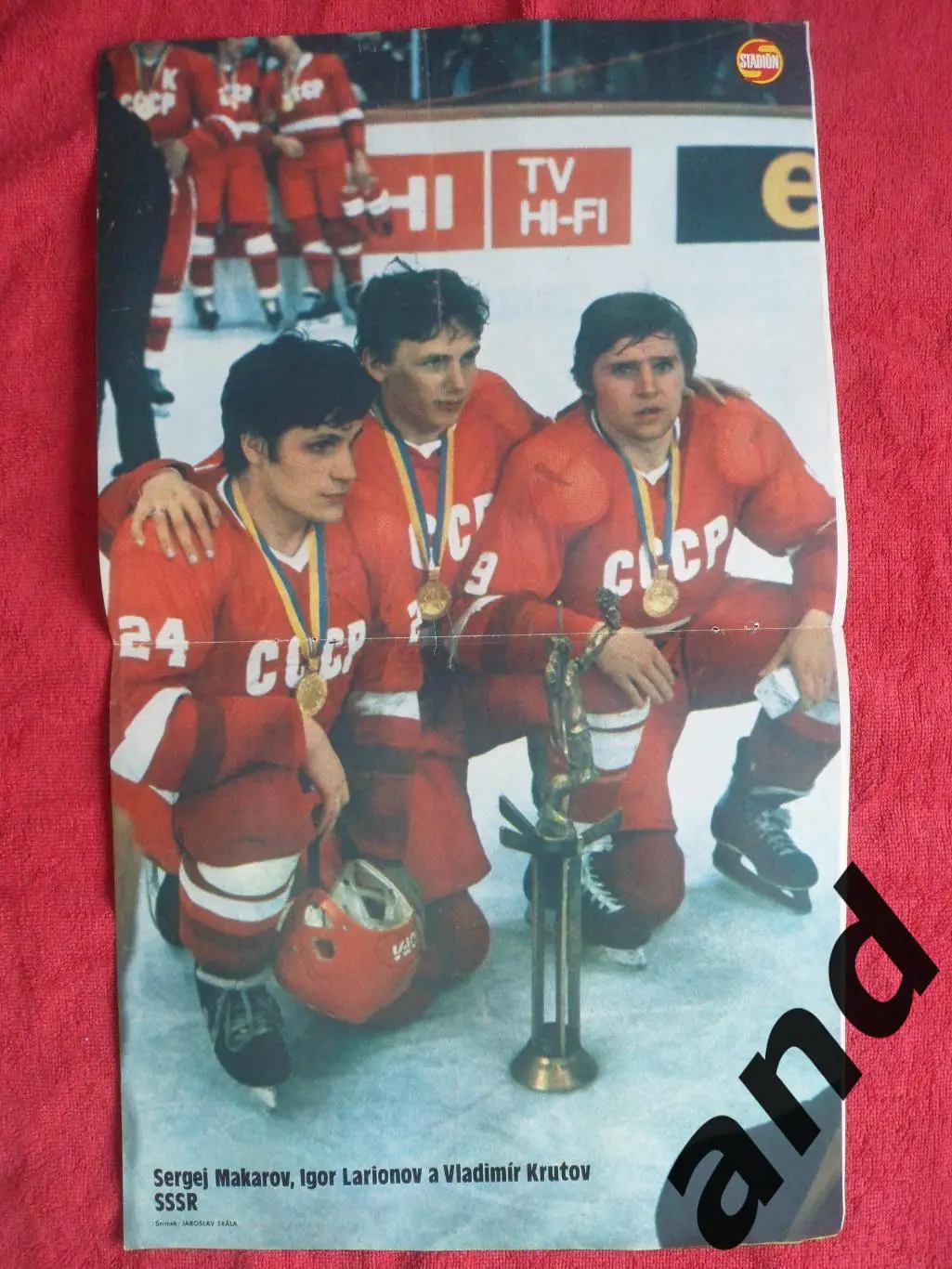 большой постер Макаров-Ларионов-Крутов