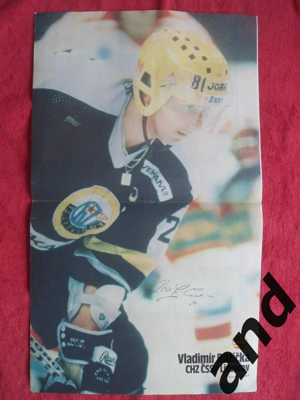 большой постер Ружичка