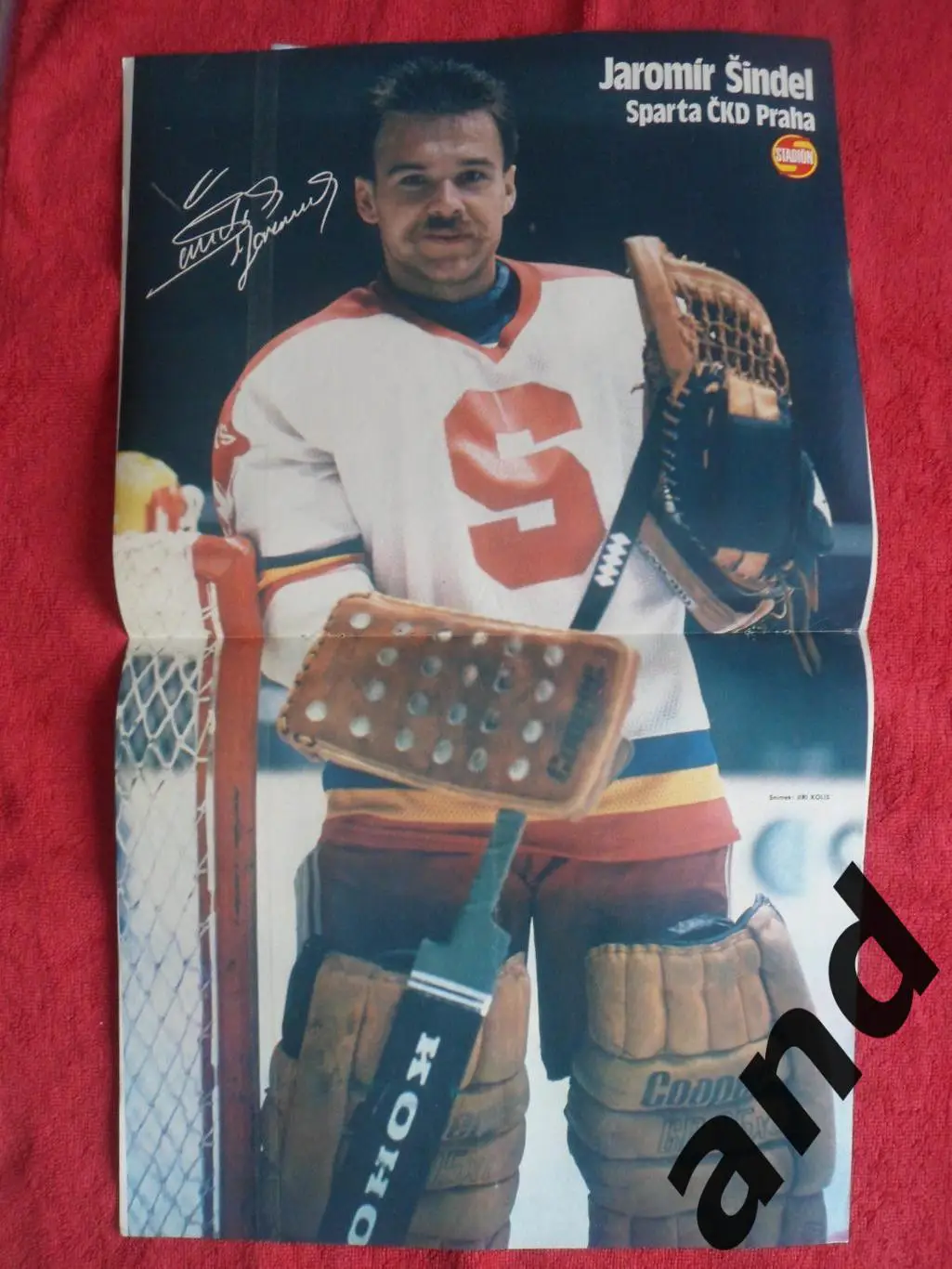 большой постер Шиндел