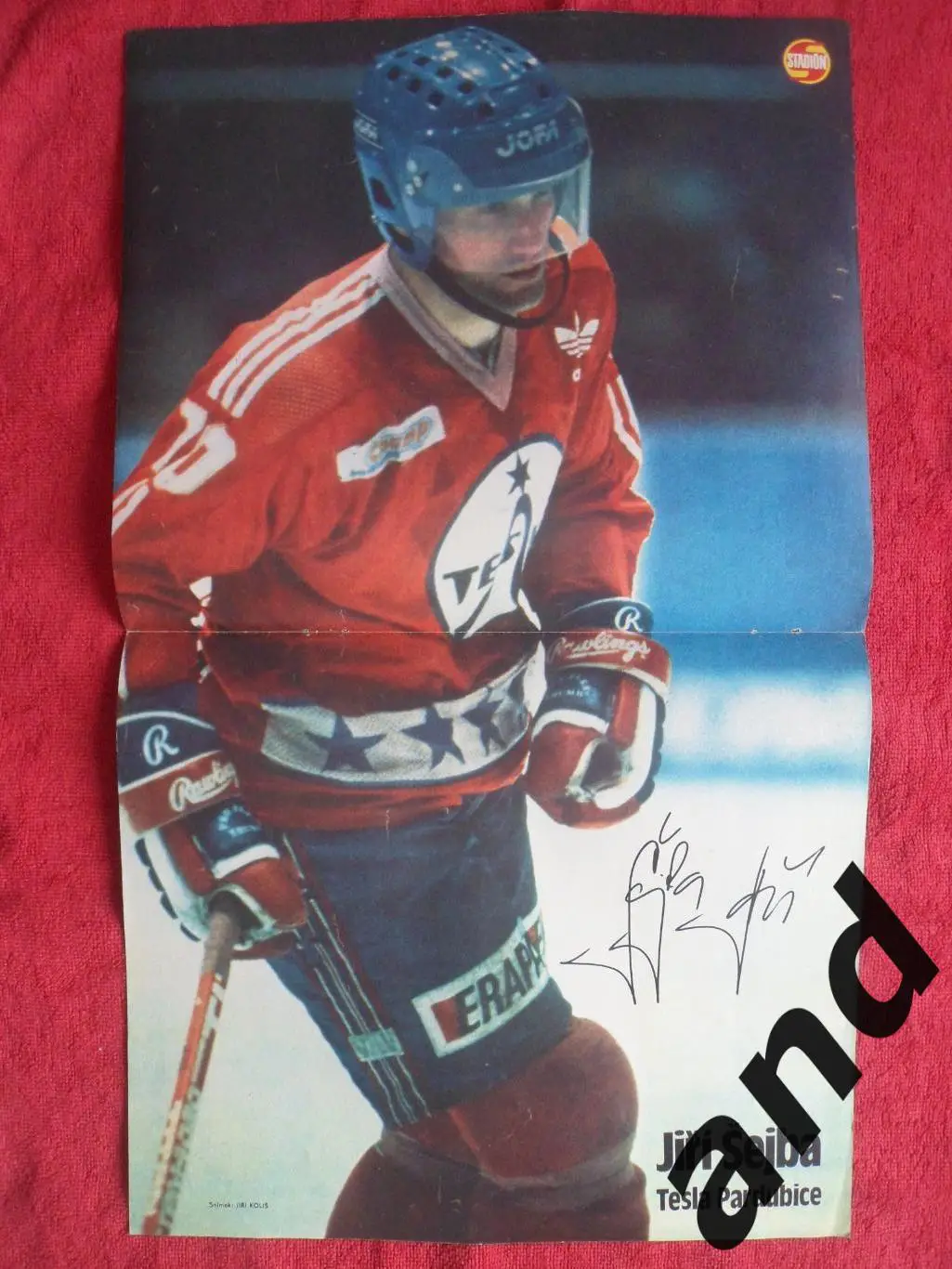 большой постер Шейба