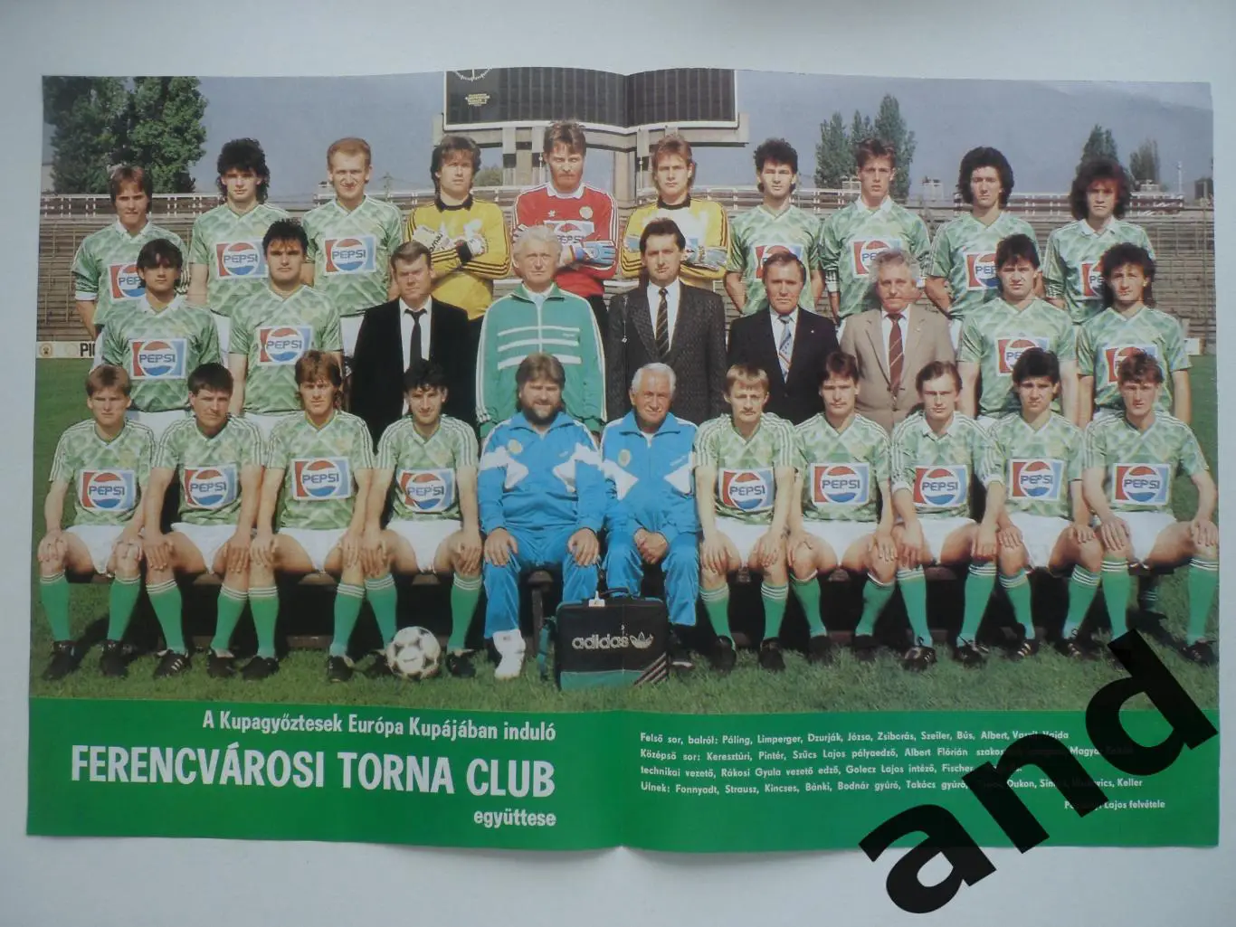 большой постер Ференцварош