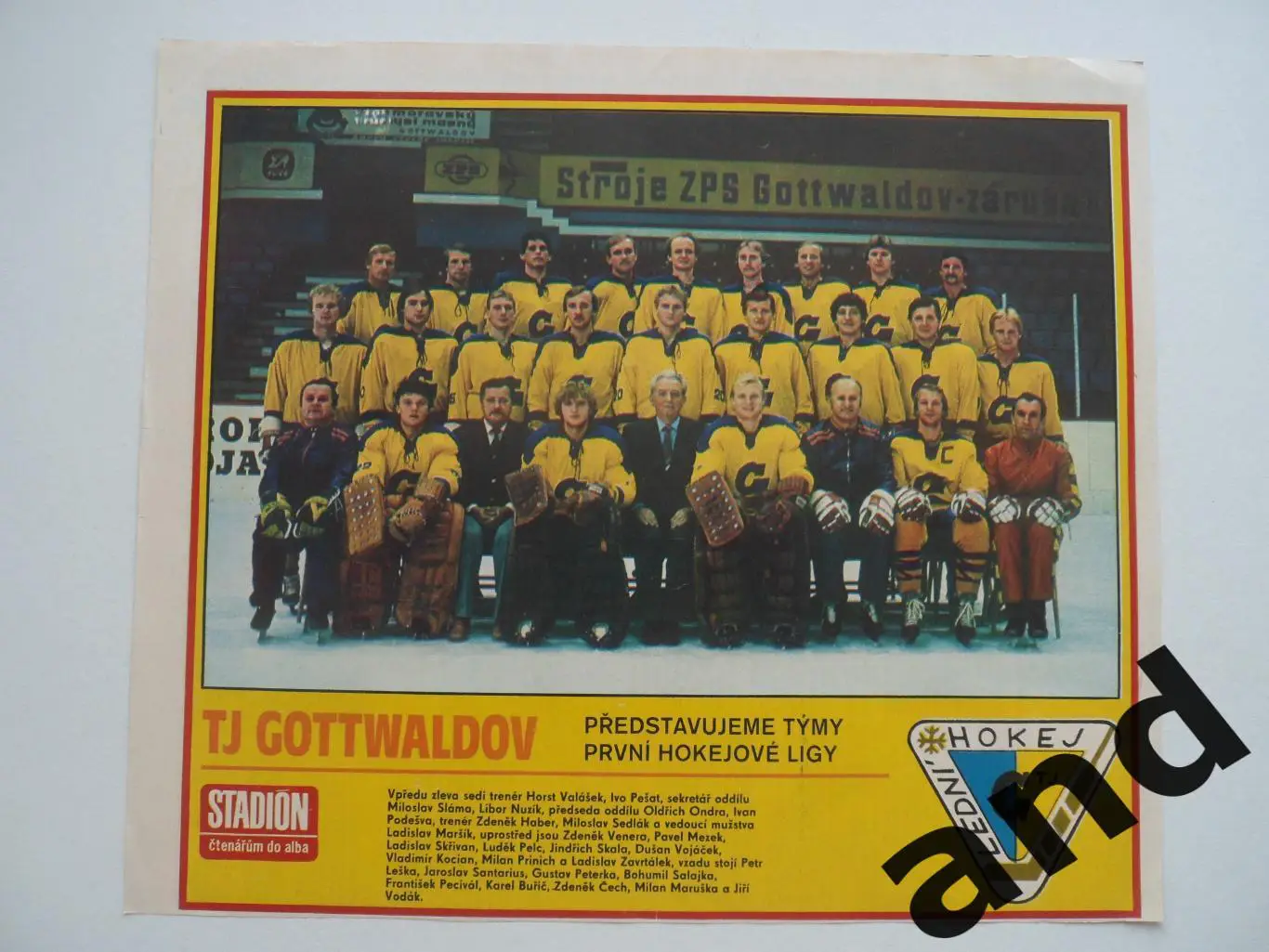 постер ХК Готвальдов.,