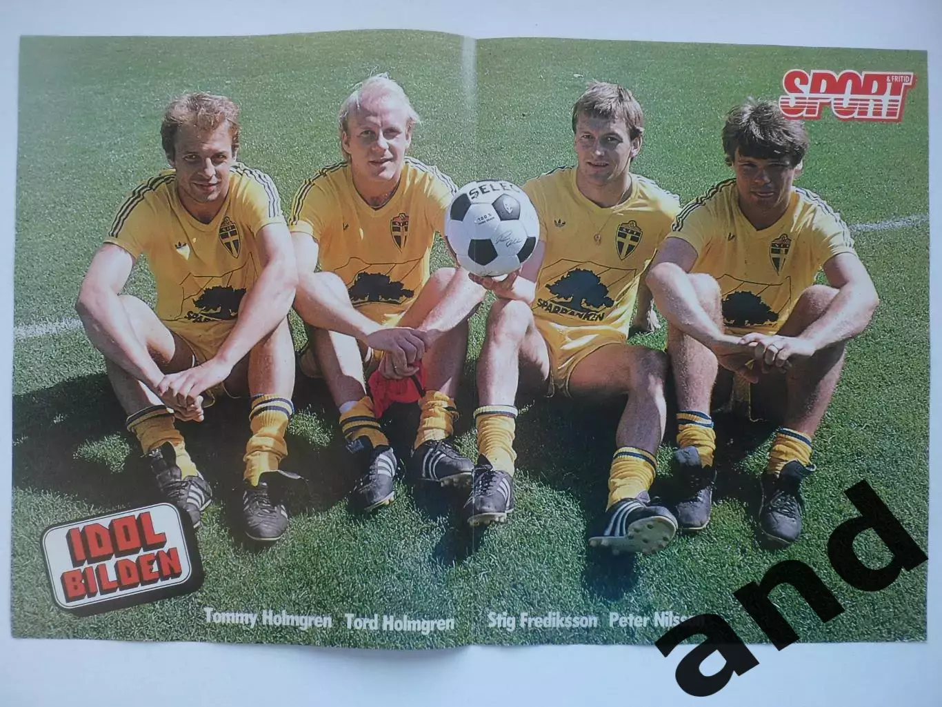 большой шведский постер