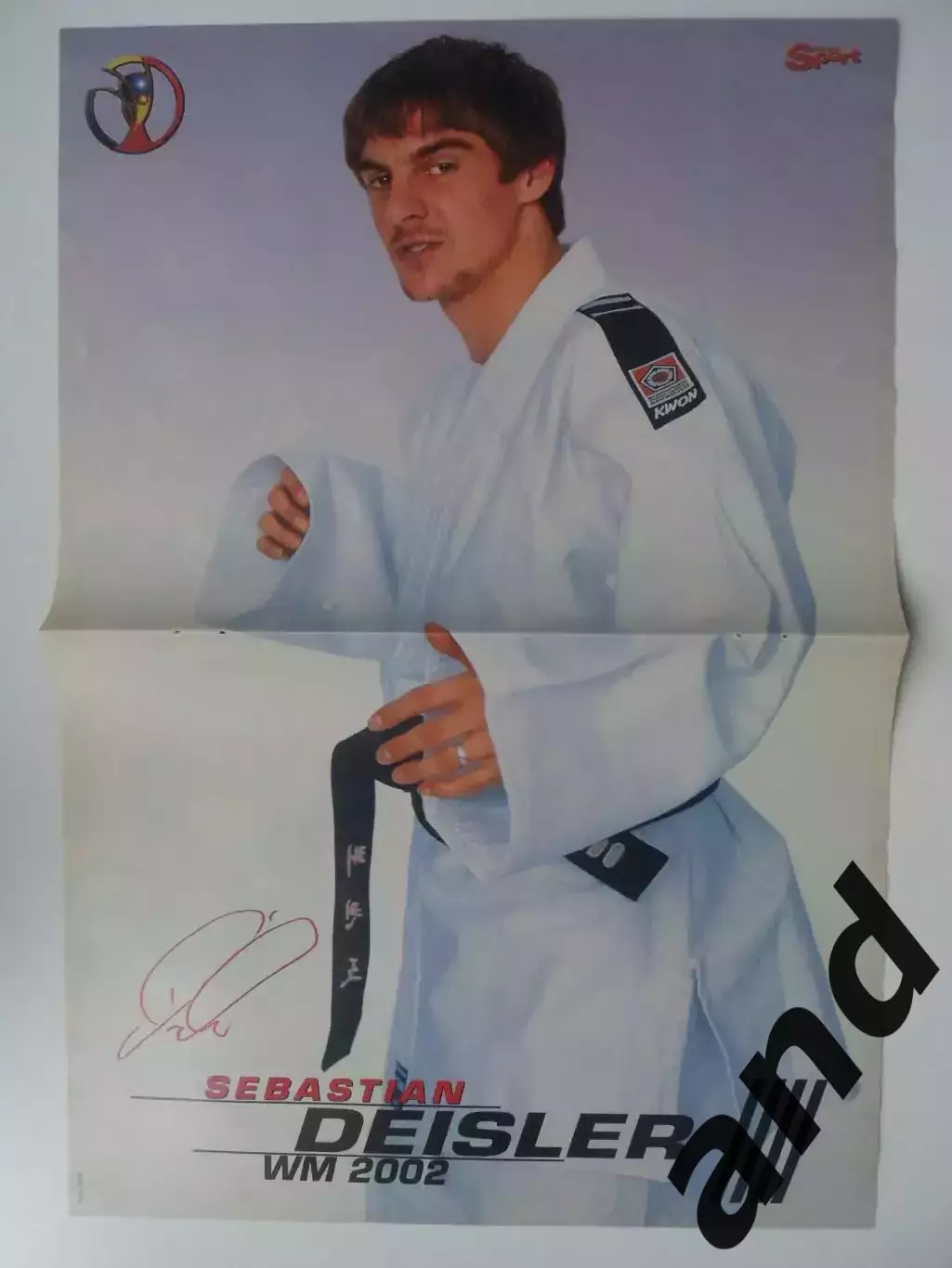 большой постер Аморозо/Дайслер 1