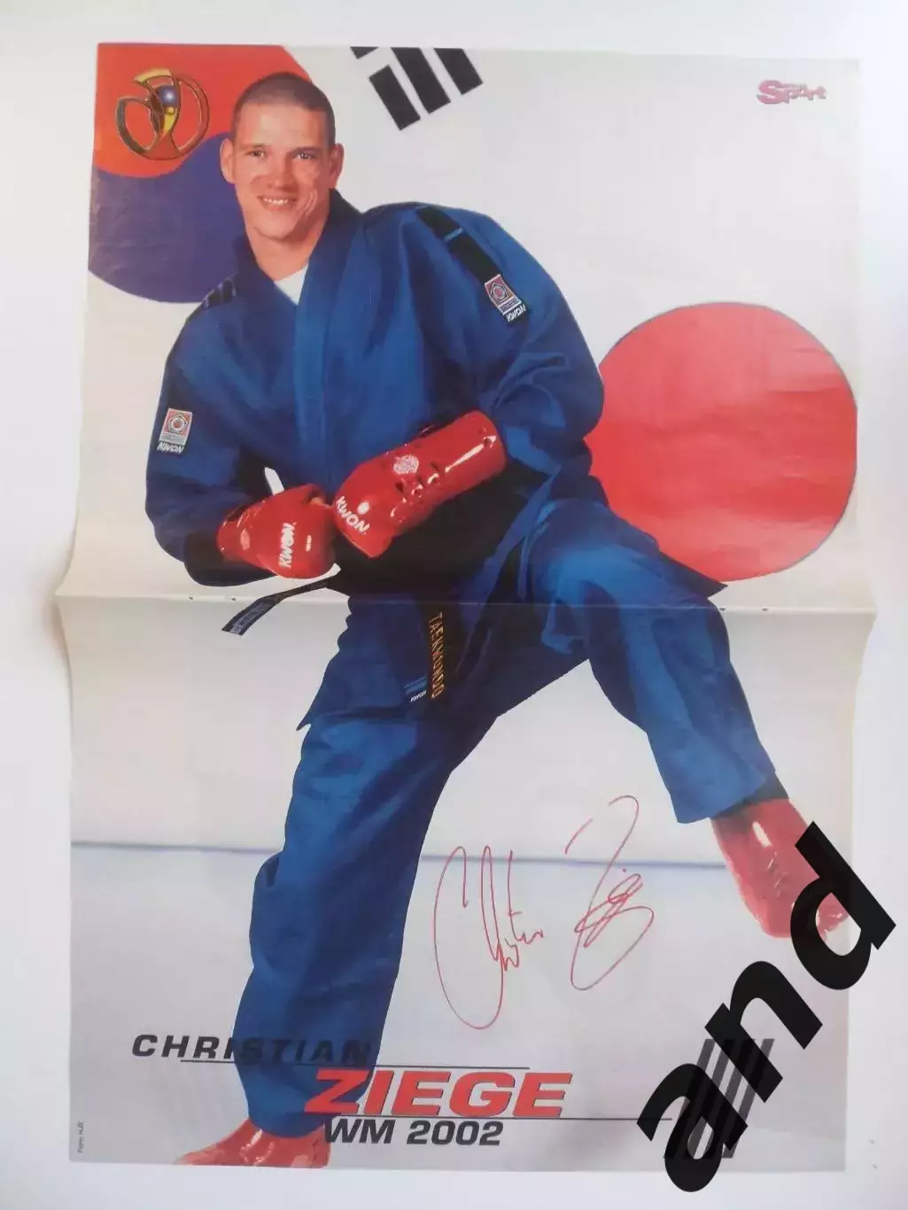 большой постер Циге/Ремер 1