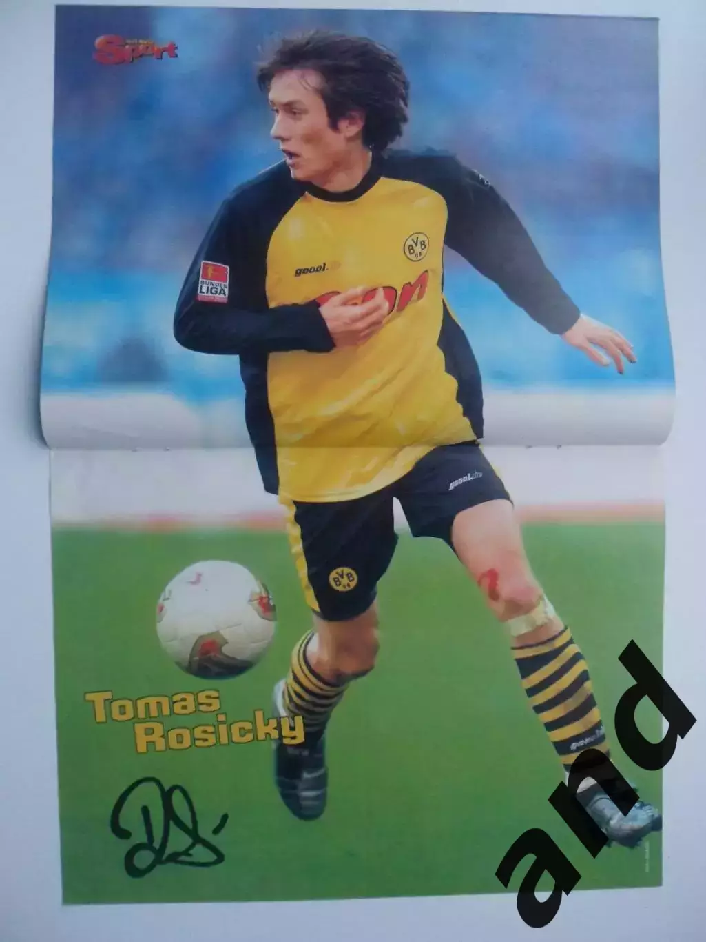 большой постер Росицкий / Такахара