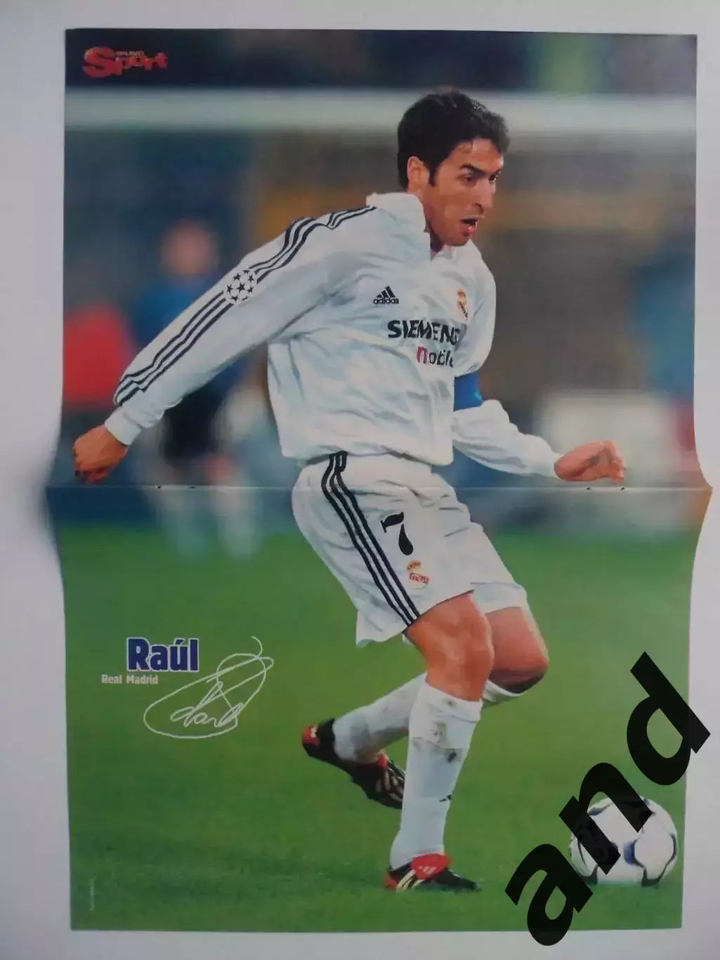 большой постер Рауль