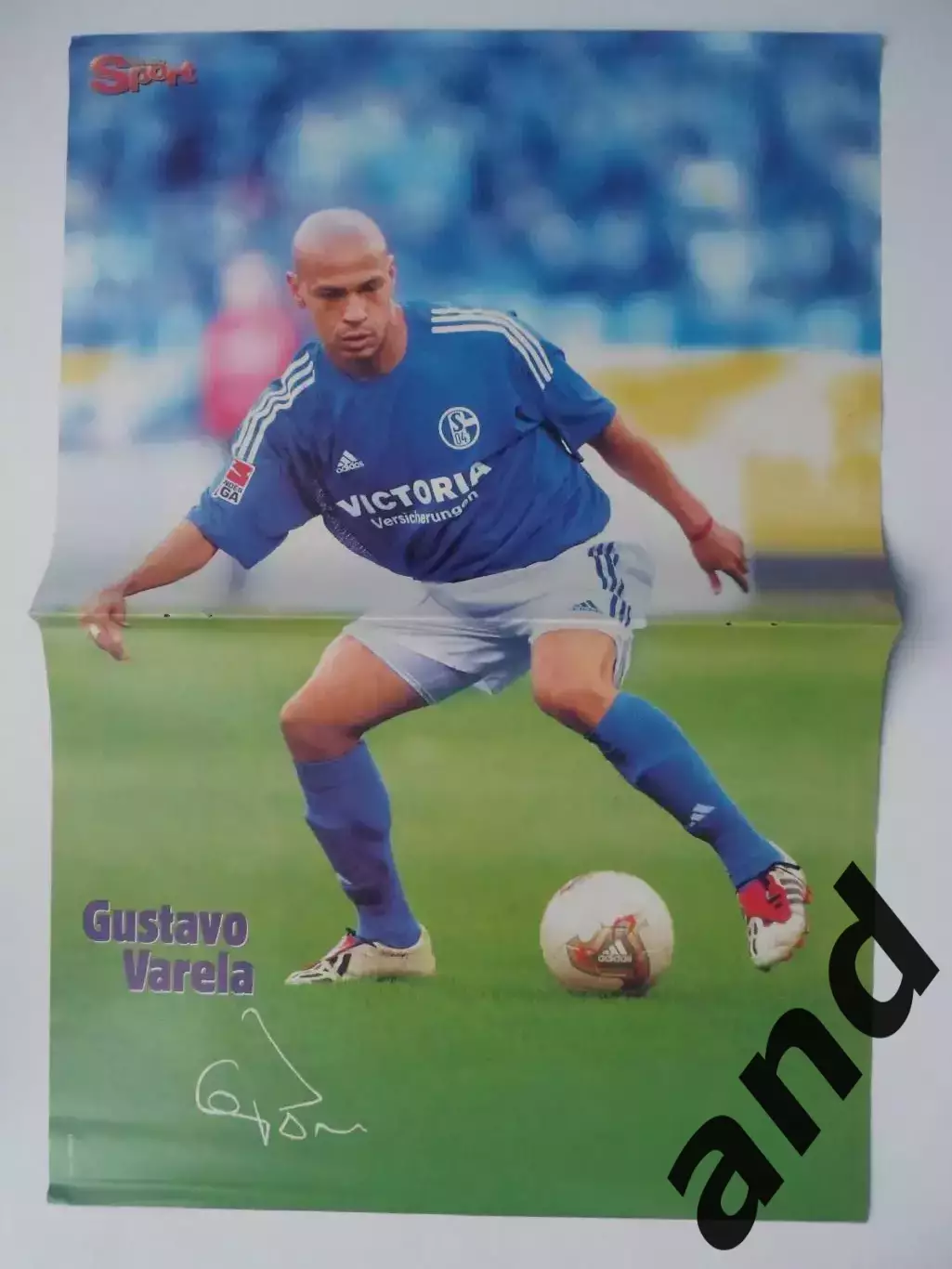 большой постер Варела