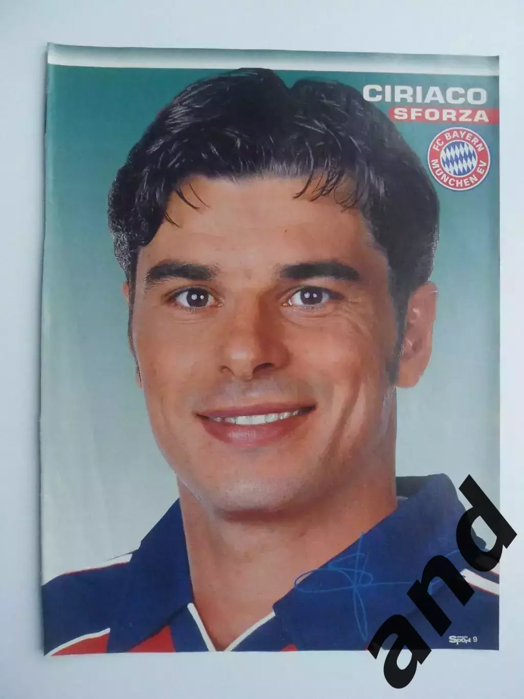 постер Сфорца