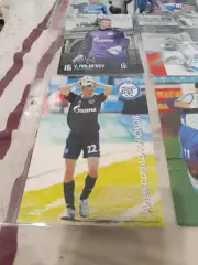 Александр анюков.зенит Санкт Петербург