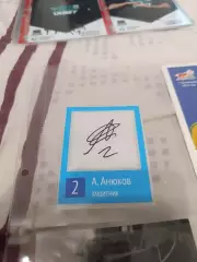 Александр Анюков зенит Санкт Петербург.автограф