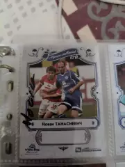 Йован танасиевич Динамо москва карта с автографом