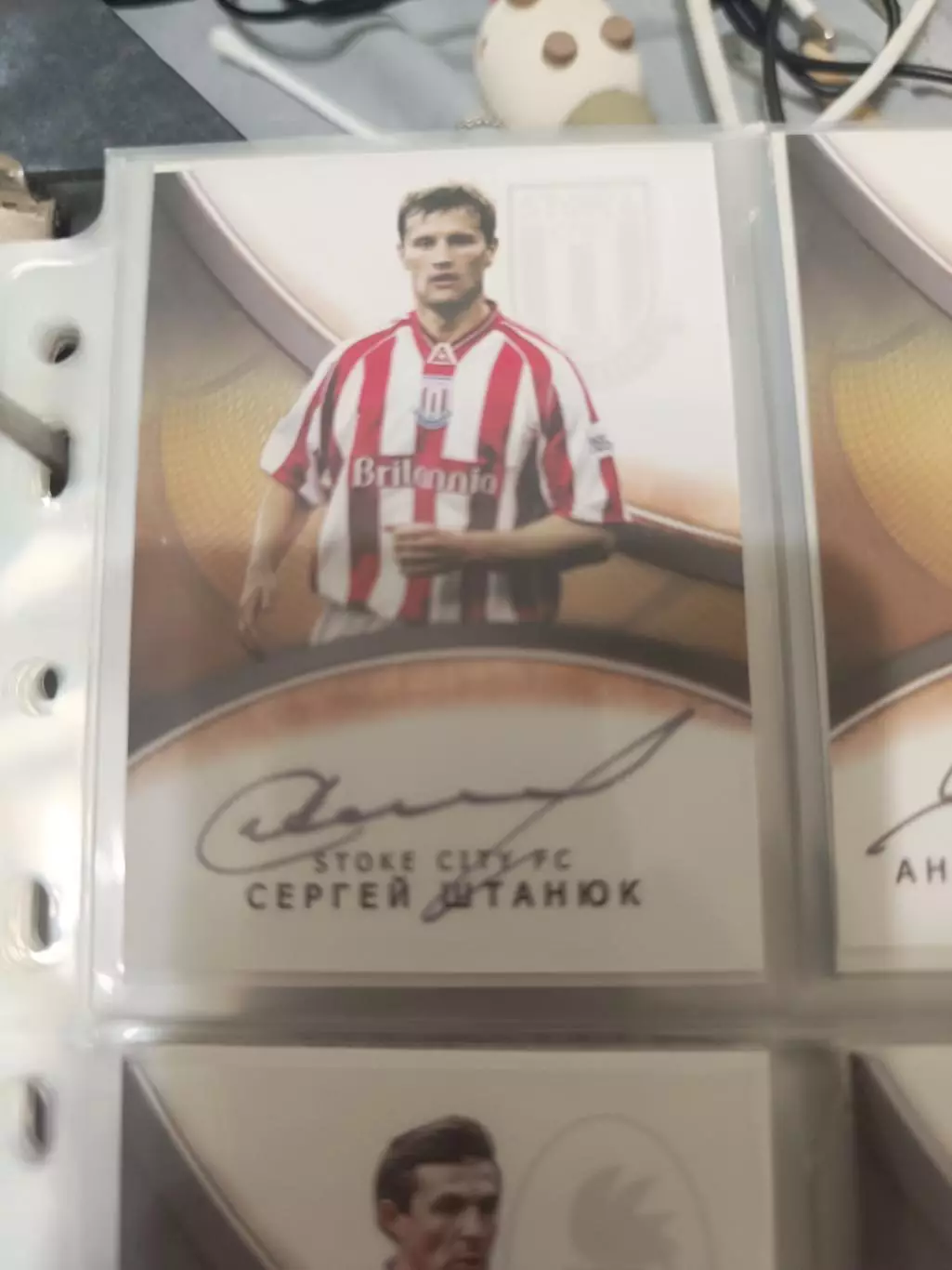 Сергей штанюк сток сити Динамо Москва Минск Ростов ярославль. карта с автографом