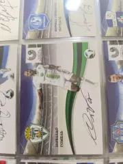 Нивалдо Гомель Владивосток Новосибирск Красноярск .карта с автографом