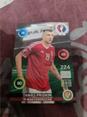 Тамаш прискин Венгрия