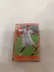 Жаба канкава Грузия пл-1