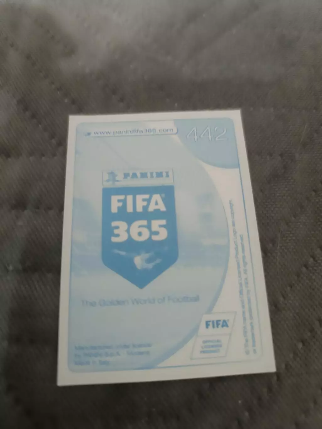 Игорь Смольников зенит. пл-24 1