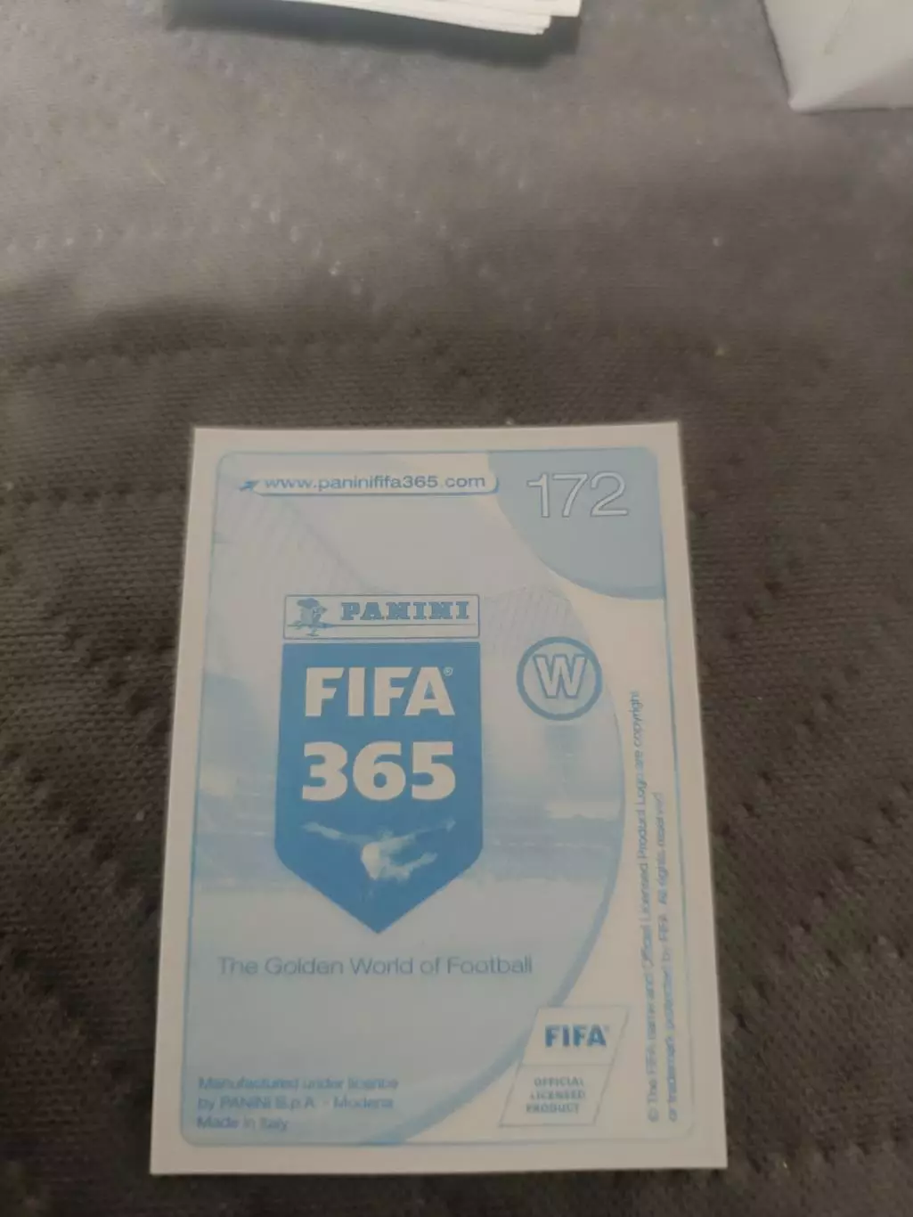 Амин юнес Аякс .по-24 1