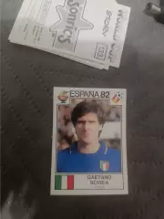 Гаетано скрипка.Италия. world cup story пл-27