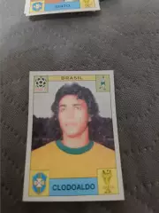 Клодоальдо . Бразилия.world cup story пл-27