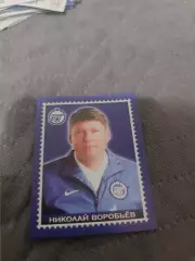 Николай воробьев. зенит .пл-27