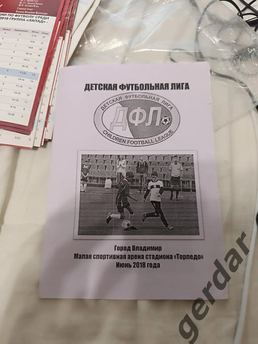 103 дфл 2018 Выкса Иваново Ильинский ковров гусь хрустальный балашиха