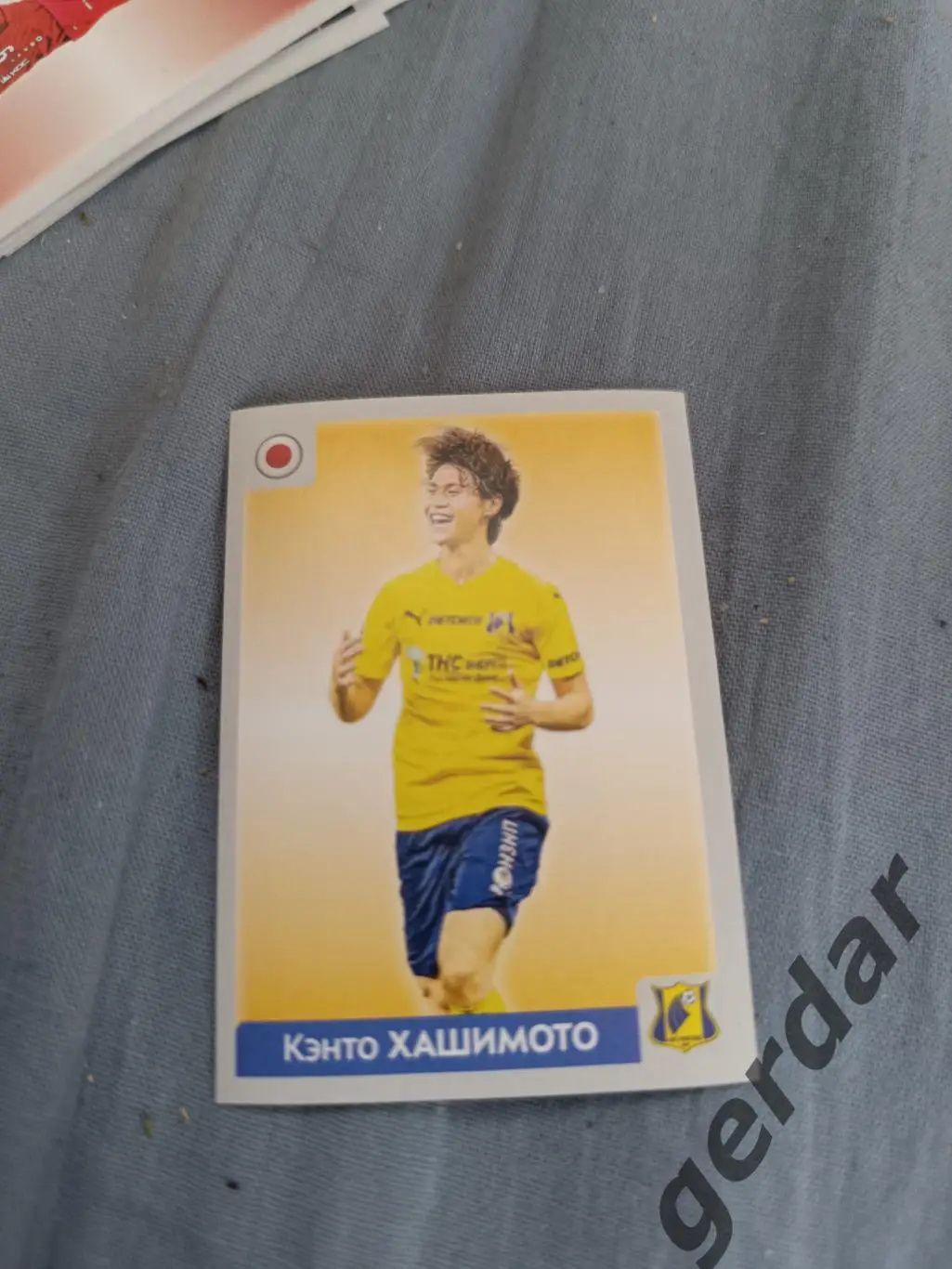 1к кэнто хашимото Ростов