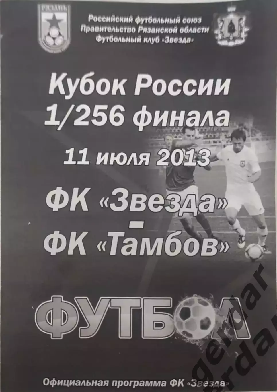 15 Звезда Рязань ФК Тамбов 2013 кубок россии
