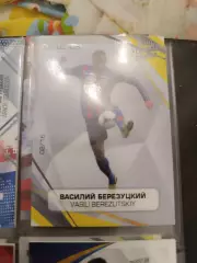 Василий Березуцкий ЦСКА москва