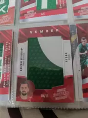 Джордже деспотович.рубин Казань . карта с куском джерси вид 4