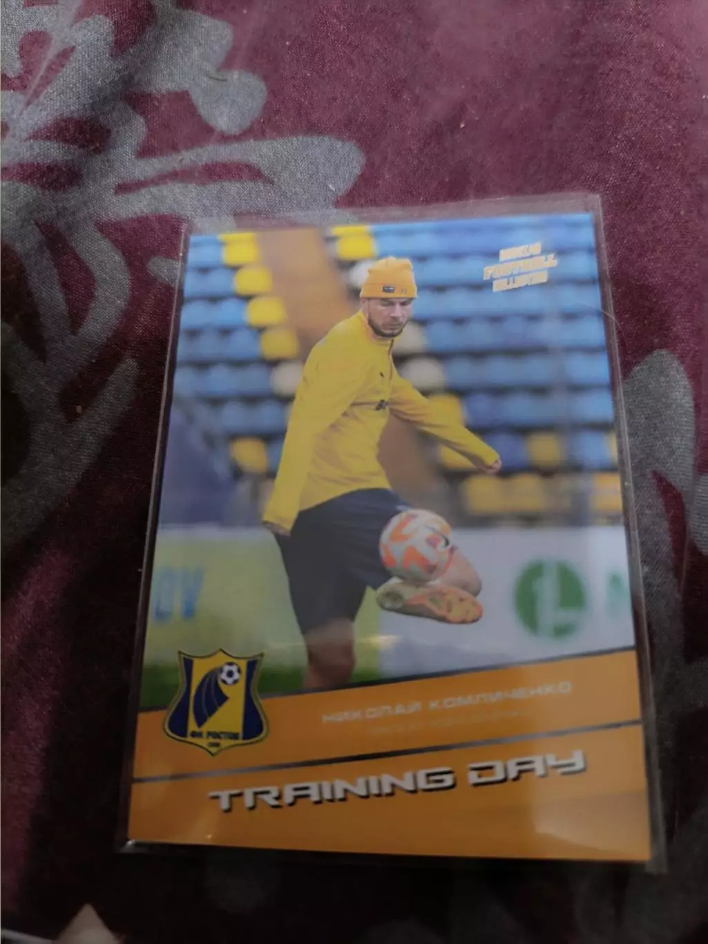 Николай Комличенко ростов