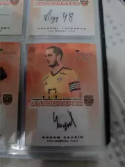 Горан чаушич арсенал Тула . автограф