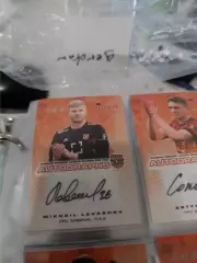 Михаил Левашов. арсенал Тула . автограф