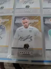 Ваня дркушич. Сочи . автограф