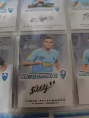 Тимур Сулейманов . нижний Новгород .автограф