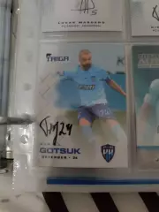 Кирилл гоцук. нижний Новгород .автограф