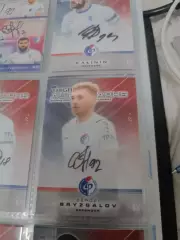 Сергей брызгалов. факел Воронеж ..автограф