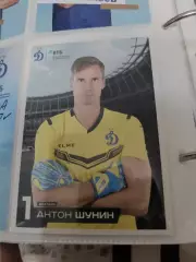 Антон шунин Динамо Москва