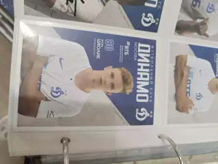 Игорь школик . Динамо Москва