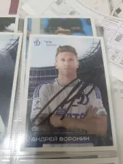Андрей Воронин. Динамо Москва..автограф